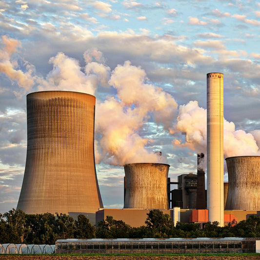 Environmental Toxin Test